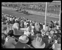 Horseback riders on the track at the Palm Springs Field Club during the Desert Circus Rodeo, Palm Springs, 1941