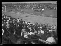 Grandstand spectators watch horseback riders at the Palm Springs Field Club during the Desert Circus Rodeo, Palm Springs, 1946