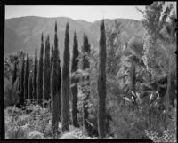Garden possibly at the El Kantara house, Palm Springs, 1935