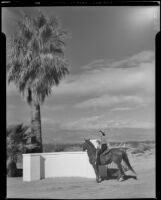 Horseback rider in front of a gated drive on a dirt road, Palm Springs, 1941