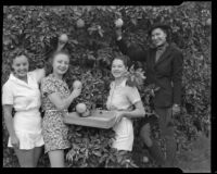 Four women picking oranges, Palm Springs vicinity, 1940-1941