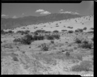 Sand dune, Palm Springs vicinity, 1940-1941