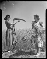 Two young women prepare for haymaking, Santa Monica, 1938