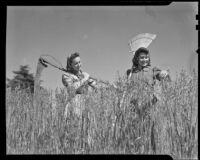 Two young women prepare for haymaking, Santa Monica, 1938