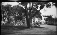 Palisades Park, Santa Monica, 1955-1965