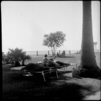 People relaxing on folding chaise lounge chairs at Palisades Park, Santa Monica