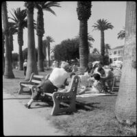 People enjoying an afternoon at Palisades Park, Santa Monica