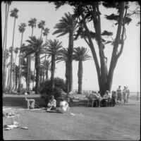 People enjoying the afternoon at Palisades Park, Santa Monica