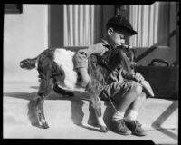 Boy feeding a goat at the Children's Home Society, Los Angeles, 1935-1960