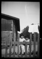 Two girls peering from behind a picket fence, 1938