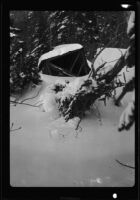 Cabin, damaged and buried by snow, June Lake, 1938