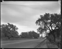 Road, Rancho Santa Anita, Arcadia, 1938