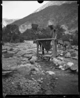 Gold miner Joey Brandt working with conveyer bucket, hopper, and sluice box over stream, San Gabriel Canyon, 1932