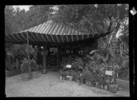 Plant sale area under canopy, Wistaria Festival, Sierra Madre, 1929