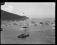 Boats in Isthmus Cove on the day of the Wrigley Ocean Marathon, Santa Catalina Island, 1927
