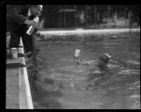 Jimmy Cherry sets aquatic endurance record, Los Angeles, 1928