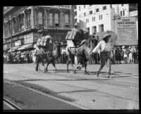 Camels at the La Fiesta de Los Angeles celebration, Los Angeles, 1931