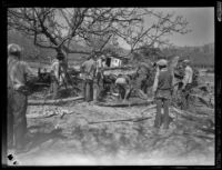 Nine men gathered around a tree in the path of the flood that resulted from the failure of the Saint Francis Dam, Santa Clara River Valley (Calif.), 1928