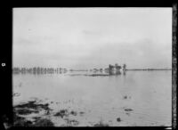 Flooded area with houses in the distance following the failure of the Saint Francis Dam, Santa Clara River Valley (Calif.), 1928