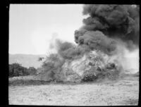 Burning wood debris in a field following the flood resulting from the failure of the Saint Francis Dam, Santa Clara River Valley (Calif.), 1928