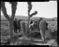 Men investigate search areas in the Mojave Desert for murder victim remains during the Gordon Stewart Northcott case, Riverside County, 1928-1930