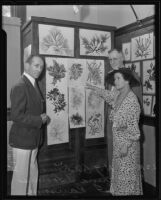 Dr. H.J. Andrews, Nina H. Loomis, and Dr. L.F. Ransome examine a marine flora exhibit, Los Angeles, 1935