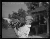 Bob Erickson holds a turtle, Arcadia, 1935