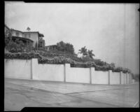 Rose bushes along unidentified residence wall, Los Angeles, 1935