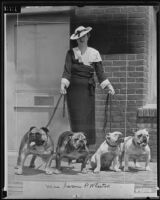 Elizabeth M. Wheaton showing off her prize-winning English bulldogs, Long Beach, 1935