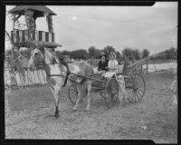 Mrs. C. L. Runyon and Mrs. George Rice ride in a carriage, Los Angeles, 1935
