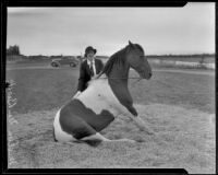 Melba Du Brock poses with her horse, Los Angeles, 1935