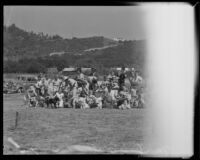 Group portrait at dog show, Montrose, 1935