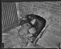 Police officer Theodore Harkcom emerging from tunnel beneath the Farmers and Merchants Bank, Watts, 1935