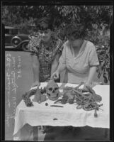 Marianne Yale and Betty L. Verich with skeletal remains, El Monte, 1935