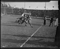 Homer Griffith about to tackle Bud Pozzo at Gilmore Stadium, Los Angeles, 1935