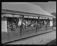 Children waving from their schoolroom, Los Angeles County, 1935