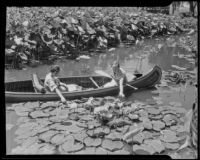 Marian Skouras and Velda Martin canoeing amidst lotus flowers on Echo Park Lake, Los Angeles, 1935