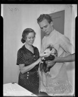 Mrs. William F. Sexton and Roland Snow with rescued opossum, Los Angeles, 1935