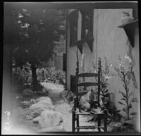 Cat sitting on a chair on a path alongside Olive Percival's Arroyo Seco house, Los Angeles, 1913