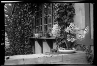 Patio or porch area outside Olive Percival's Arroyo Seco house, Los Angeles, 1921