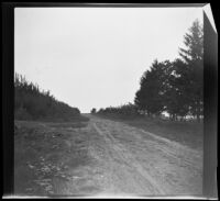 Dirt road in the home town of Olive Percival, Sheffield (Ill.), 1910