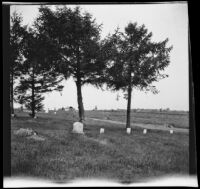 Cemetery in the home town of Olive Percival, Sheffield (Ill.), 1910