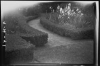 Iris garden photographed by Olive Percival, [Los Angeles?], 1941