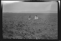 Two women seated in a poppy field, photographed by Olive Percival, Palmdale vicinity, 1934