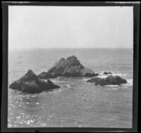 View of Seal Rocks taken from the Cliff House by Olive Percival, San Francisco, 1903