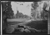 San Pascual Avenue from the front yard of Olive Percival's Arroyo Seco property, Los Angeles, 1933