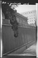 Olive Percival photograph of a fence modified to accommodate tree at a school on Grand Avenue, Los Angeles, 1927