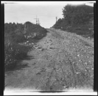 View down a dirt road in Olive Percival's Arroyo Seco neighborhood, Los Angeles, 1898-1899
