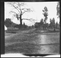 Landscape view in Olive Percival's Arroyo Seco neighborhood, Los Angeles, 1898-1899