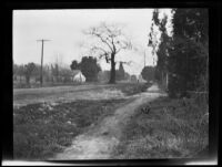 View down San Pascual Avenue (?) in Olive Percival's Arroyo Seco neighborhood, Los Angeles, 1898-1899